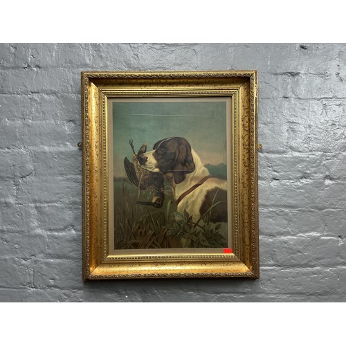 Hunting Scene Depicting Dog with Pheasant in Traditional Gilt Framed ...