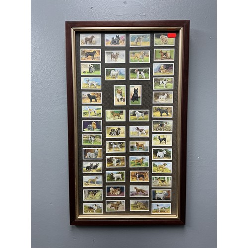 Lot 337       