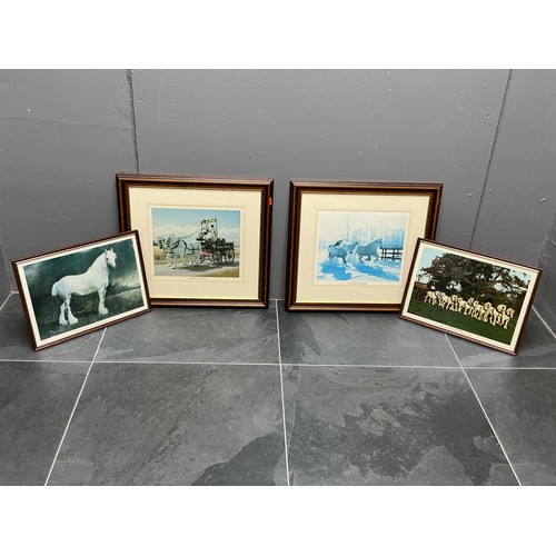 790 - Four Framed and Glazed Art Work/Photography of Samuel Smiths Shire Horses