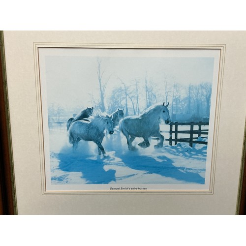 790 - Four Framed and Glazed Art Work/Photography of Samuel Smiths Shire Horses