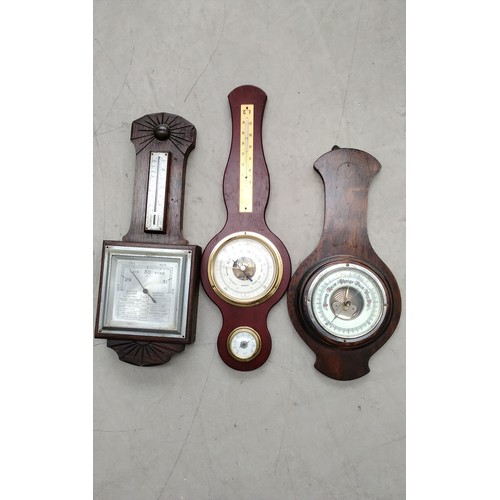 Lot 12        