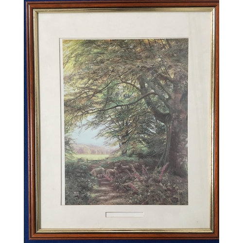 224 - A framed print of a forest scene. Unknown artist.
Dimensions(cm) H56 W46