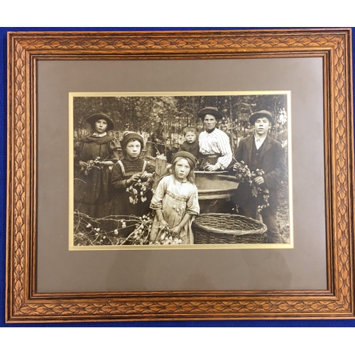 264 - An attractive framed Victorian Photograph of a family hop-picking.
Height 53cm Width 64cm