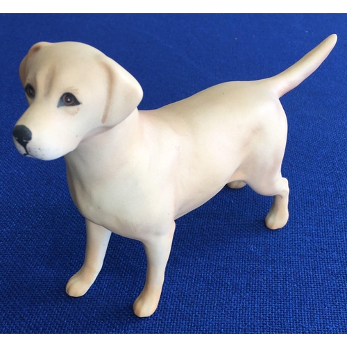 315 - A Beswick Solomon of Wendover male yellow labrador.
Length 21cm Height 15cm