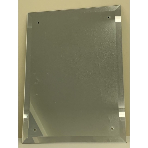 76 - An unframed, bevelled-edged mirror.
Dimensions(cm) H58 W41