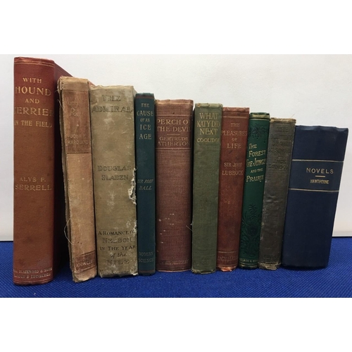 313 - A mixed lot of ten fiction books from 19th century & early 20th century