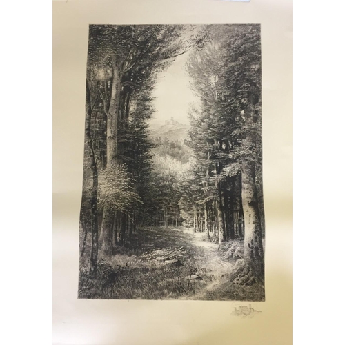 384B - A large, French etching by G Garen.
91cm x 63cm.