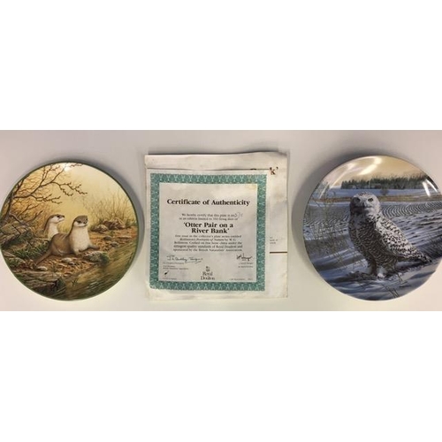 565 - A set of thirteen (one duplicate) Collectors Studio 'The Forest Year Collection' display plates, tog... 