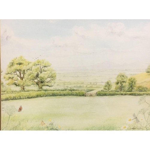 301 - A framed original watercolour, by Stephen John Irish - 'Across the Severn Vale' commissioned in 1994... 