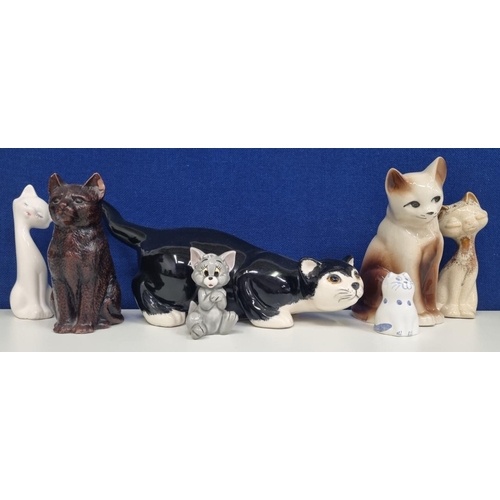 493A - A seven-piece lot of decorative cat figurines. Items of note to include a rarer-pattern 'Trentham' a... 