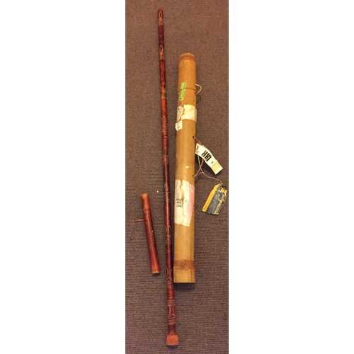 729 - A vintage Didgeridoo, with carry case. Length approx. 130cm.