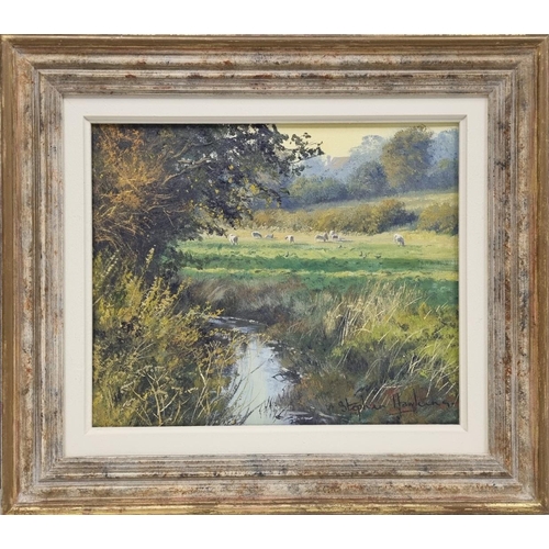 351 - An original Stephen Hawkins oil on canvas of a Sussex landscape view, signed and framed. British, UK... 