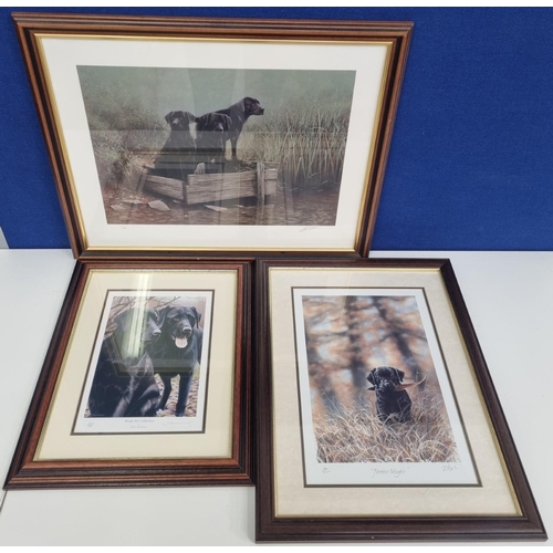 374 - A trio of limited edition Labrador prints, hand signed by various artists. To include 'Ready for Col... 