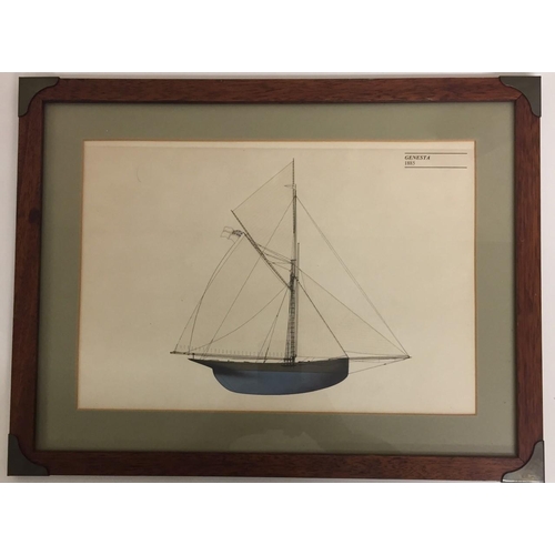 295 - A vintage framed print of Genesta 1885. Framed dimensions(cm) H32, W43.