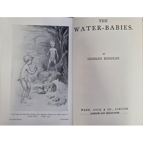 1767 - Two collectable children's books, to include an earlier 20th century edition of 'The Water Babies', ... 