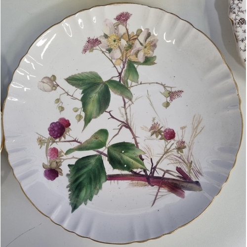 625 - An assortment of older plates, to include a botanical theme 'Mintons' plate, 'Crescent China', 'Lara... 