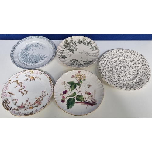 625 - An assortment of older plates, to include a botanical theme 'Mintons' plate, 'Crescent China', 'Lara... 