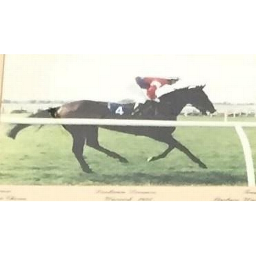 296 - A framed photograph of the racehorse 'Lucknam Dreamer' at Warwick 1991 (32cm x 35cm), together with ... 