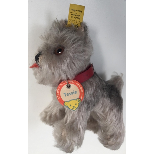 4027 - Steiff 'Tessie' dog. Grey shades with accompanying red collar, from c.1960's. Catalogue no. 1314.00.... 