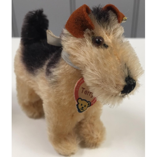 4028 - Steiff 'Terry' dog. Black & Tan coloured with accompanying blue collar & bell, from c.1960's. Height... 