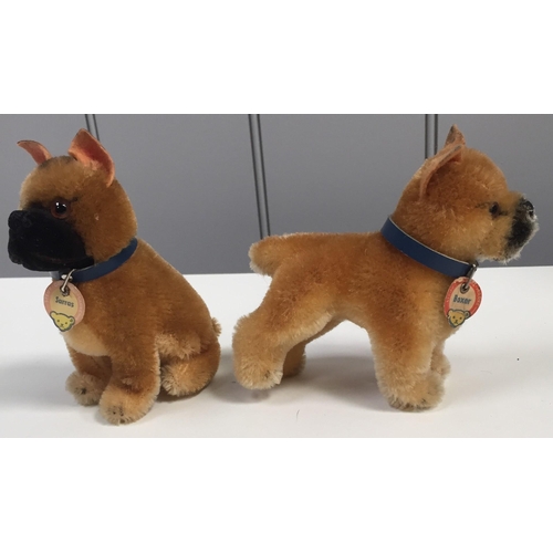 4030 - Steiff 'Boxer' & 'Sarras' dogs. Both with accompanying blue collars, from 1960's. Height 10cm/11cm. ... 