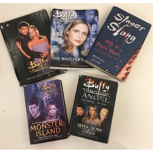 2003 - A collection of 'Buffy The Vampire Slayer' books.