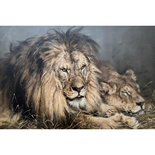 345 - An early 20th century, large framed print of a Lion and Lioness relaxing. After Hungarian artist 'Ge... 