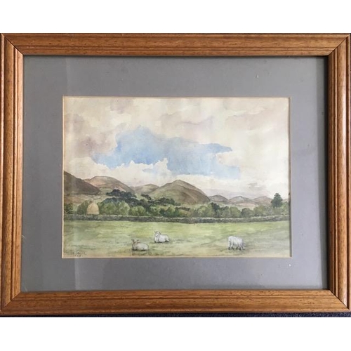 316 - A 19th century framed watercolour - 'View from Banks of Wooler Water' (Northumberland). Signed ' Woo... 