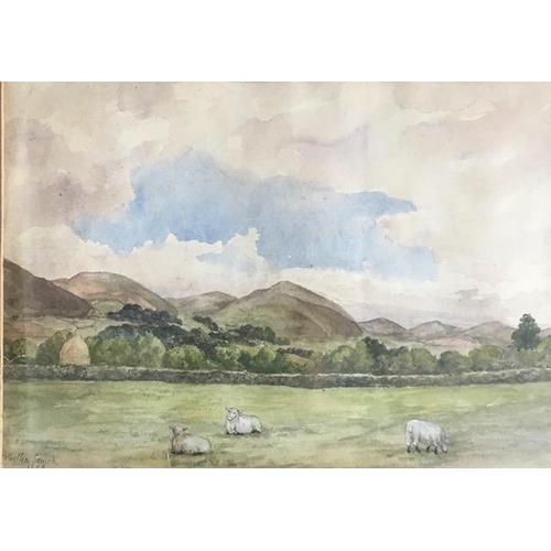 316 - A 19th century framed watercolour - 'View from Banks of Wooler Water' (Northumberland). Signed ' Woo... 