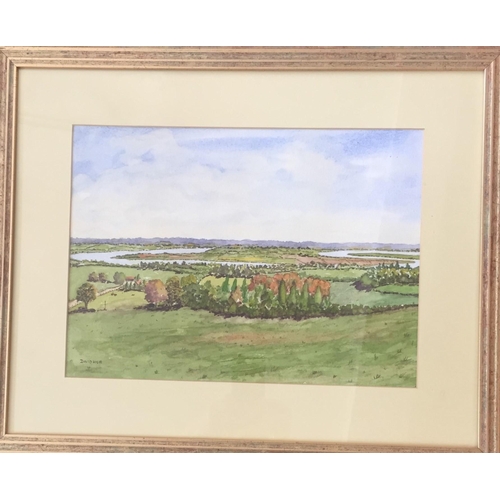 323 - A framed, watercolour of a countryside scene, by 'David Hier' Signed by the artist. Dimensions(cm) H... 