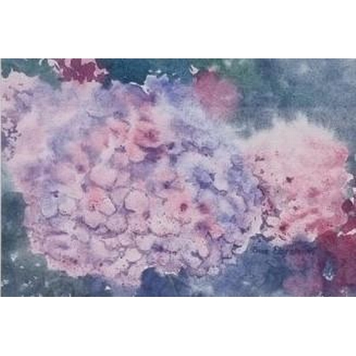 365 - Two original watercolour paintings, by Sue Ebrahim, British. 'Hydrangeas' & a larger, floral scene w... 