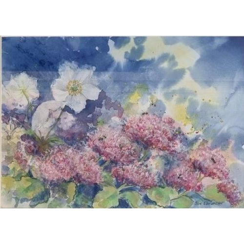 365 - Two original watercolour paintings, by Sue Ebrahim, British. 'Hydrangeas' & a larger, floral scene w... 