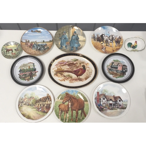 589 - A collection of eleven display plates. Makers include 'Danbury Mint'.