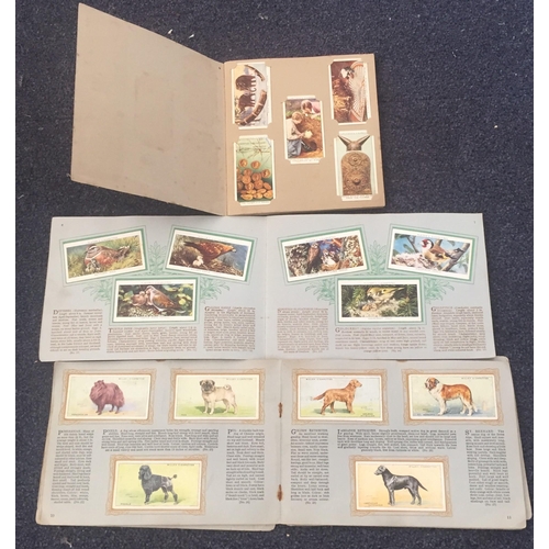 1601 - A collection of cigarette cards/albums & snapshots. To include Wills's cigarette album, Wills's 'An ... 