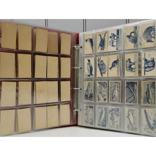 1616 - A collector's album of cigarette cards. To include: Turf Cigarettes - '50 Zoo Animals', '50 British ... 