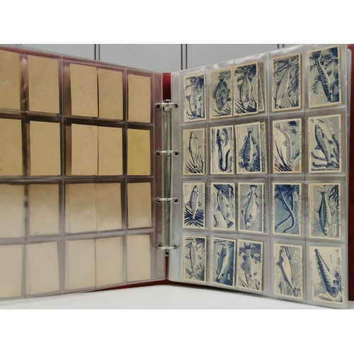 1616 - A collector's album of cigarette cards. To include: Turf Cigarettes - '50 Zoo Animals', '50 British ... 