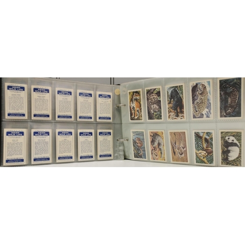 1618 - A collector's album of tea cards. To include Brooke Bond Tea - 'Bird Portraits', 'Out Into Space', '... 