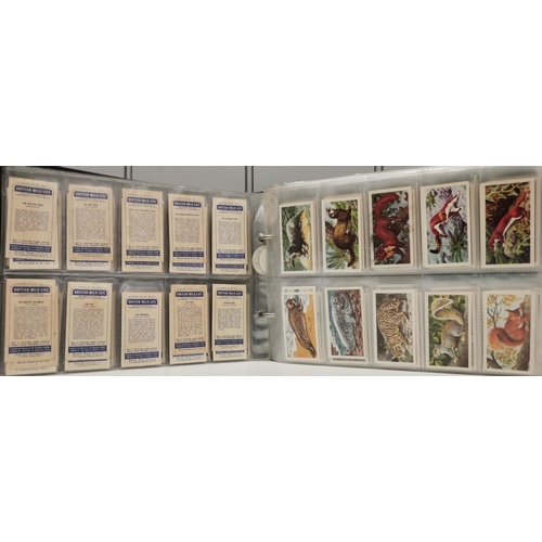 1618 - A collector's album of tea cards. To include Brooke Bond Tea - 'Bird Portraits', 'Out Into Space', '... 