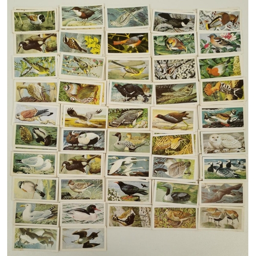 1619 - A large collection of tea cards. To include: Brooke Bond Tea - 'Wild Birds In Britain', 'Famous Peop... 