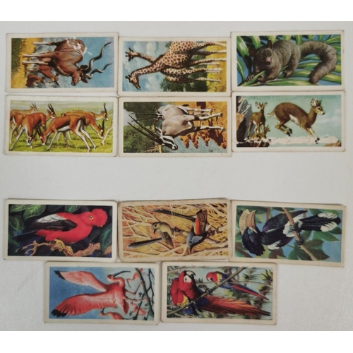 1619 - A large collection of tea cards. To include: Brooke Bond Tea - 'Wild Birds In Britain', 'Famous Peop... 