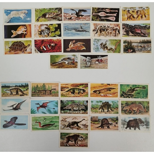 1619 - A large collection of tea cards. To include: Brooke Bond Tea - 'Wild Birds In Britain', 'Famous Peop... 