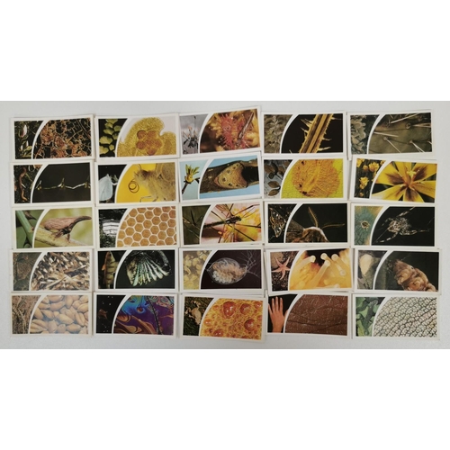 1619 - A large collection of tea cards. To include: Brooke Bond Tea - 'Wild Birds In Britain', 'Famous Peop... 