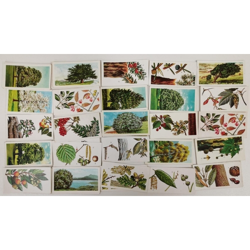 1619 - A large collection of tea cards. To include: Brooke Bond Tea - 'Wild Birds In Britain', 'Famous Peop... 