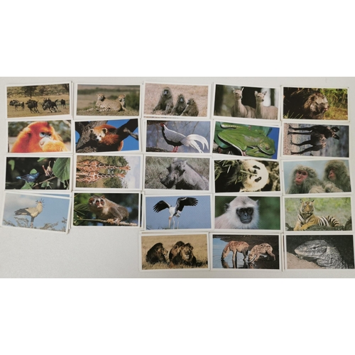 1619 - A large collection of tea cards. To include: Brooke Bond Tea - 'Wild Birds In Britain', 'Famous Peop... 