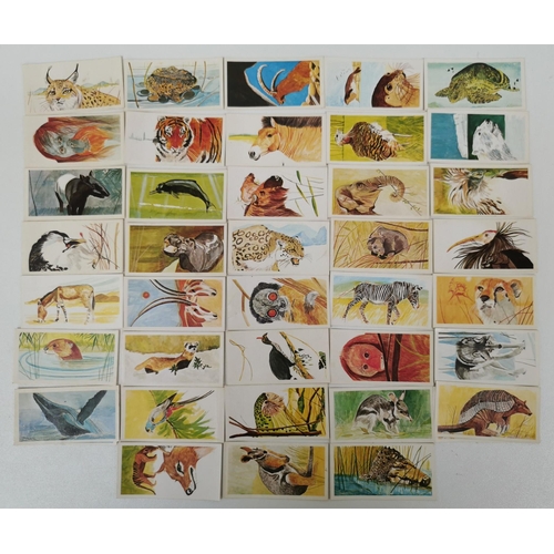 1619 - A large collection of tea cards. To include: Brooke Bond Tea - 'Wild Birds In Britain', 'Famous Peop... 