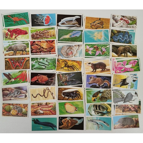 1619 - A large collection of tea cards. To include: Brooke Bond Tea - 'Wild Birds In Britain', 'Famous Peop... 