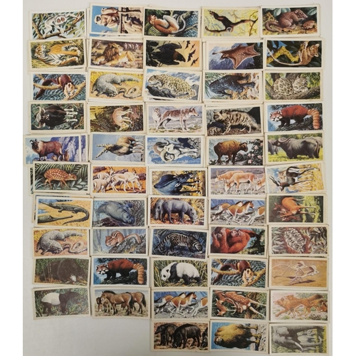 1619 - A large collection of tea cards. To include: Brooke Bond Tea - 'Wild Birds In Britain', 'Famous Peop... 