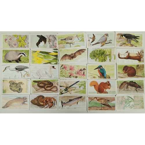 1619 - A large collection of tea cards. To include: Brooke Bond Tea - 'Wild Birds In Britain', 'Famous Peop... 