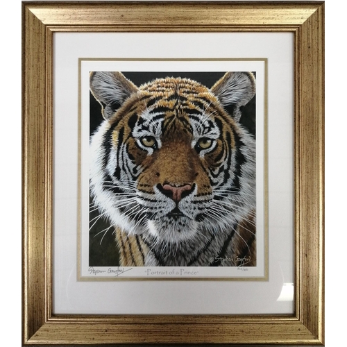 282 - A set of 3 limited edition, framed tiger prints, by Stephen Gayford. 'Siberian Brothers' (38cm x 43c... 