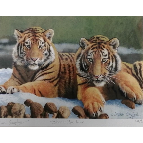 282 - A set of 3 limited edition, framed tiger prints, by Stephen Gayford. 'Siberian Brothers' (38cm x 43c... 